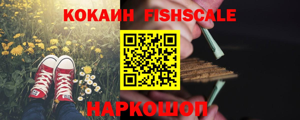 Кокаин Fish Scale  где можно купить   Ливны  КОКАИН Fish Scale  Вход с VPN 